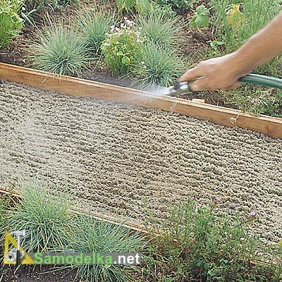 Светящаяся в темноте дорожка