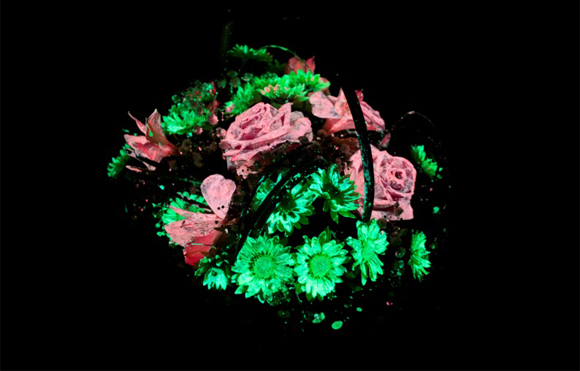 Цветы светящиеся в темноте