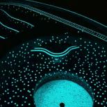 Подсветка бассейнов краской Подсветка бассейнов краской