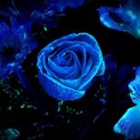 Светящиеся краски для цветов Светящиеся краски для цветов