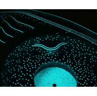 Подсветка бассейнов краской Подсветка бассейнов краской