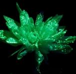 светящаяся краска