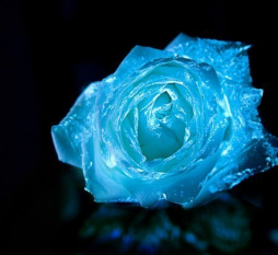 светящаяся краска