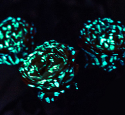 светящаяся краска