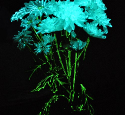 светящаяся краска