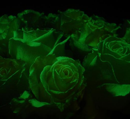 светящаяся краска