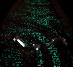 светящаяся краска