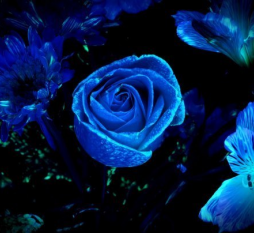 светящаяся краска