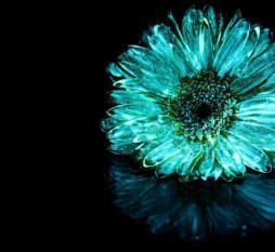 светящаяся краска