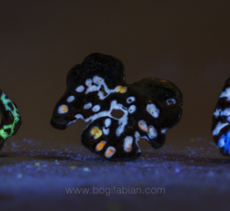 Светящиеся в темноте сувениры