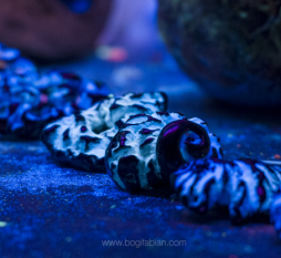 Светящиеся в темноте сувениры