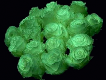 светящаяся краска