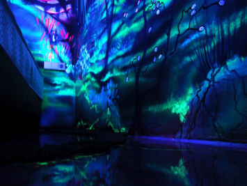 флуоресцентная краска флуоресцентная краска